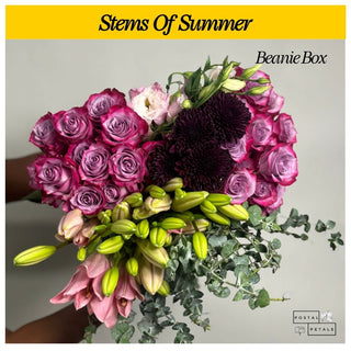 Stems Of Summer